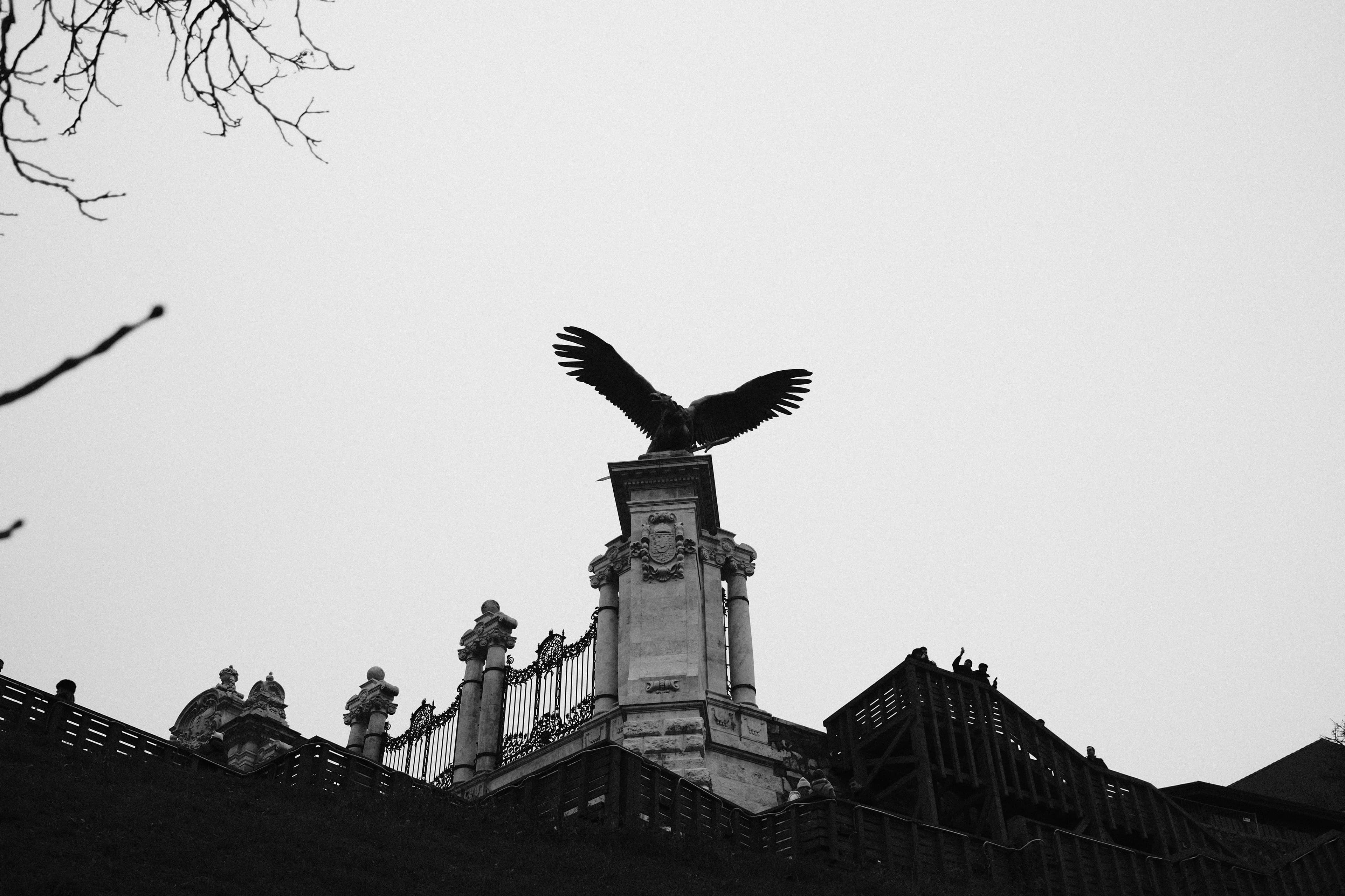 Eagle