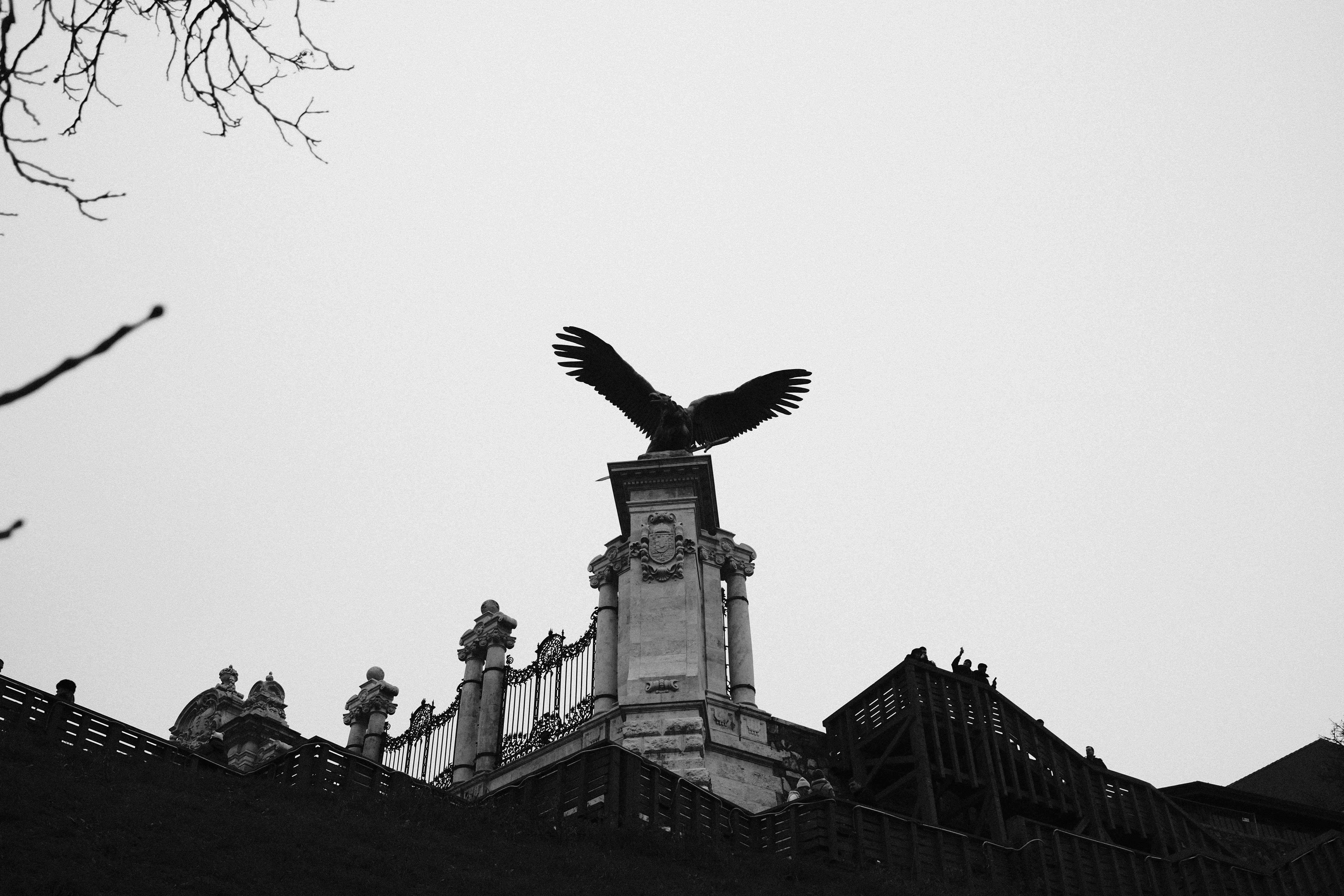 Eagle